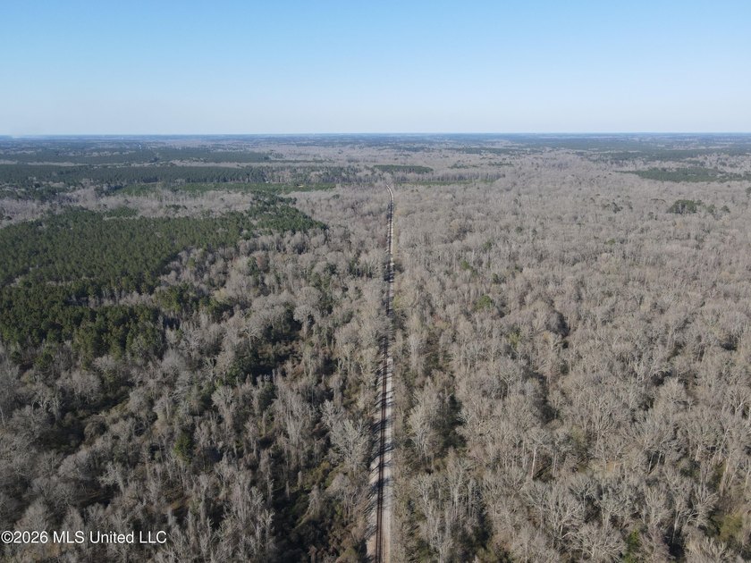 160+/- Acres - Bogue Chitto, Mississippi | Riverfront Hunting - photo 4