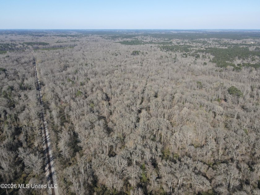 160+/- Acres - Bogue Chitto, Mississippi | Riverfront Hunting - photo 5