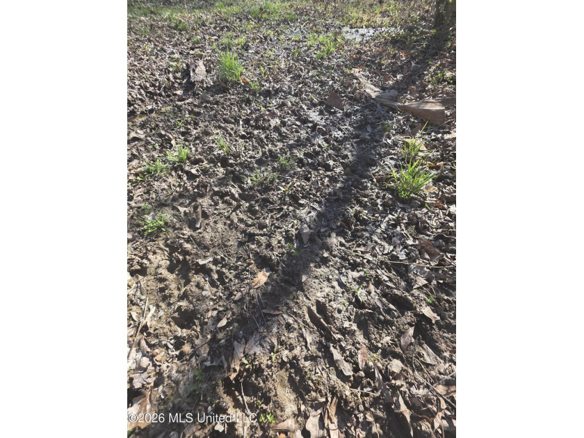 160+/- Acres - Bogue Chitto, Mississippi | Riverfront Hunting - photo 8