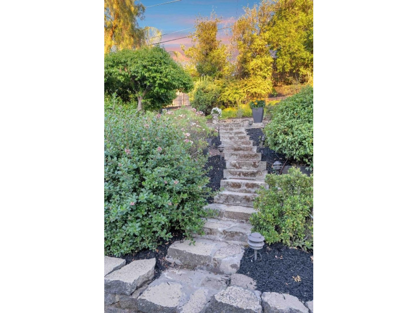 Tucked into the highly desirable Almaden Valley, this spacious - photo 29