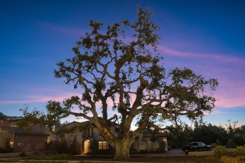 Tucked into the highly desirable Almaden Valley, this spacious - photo 40