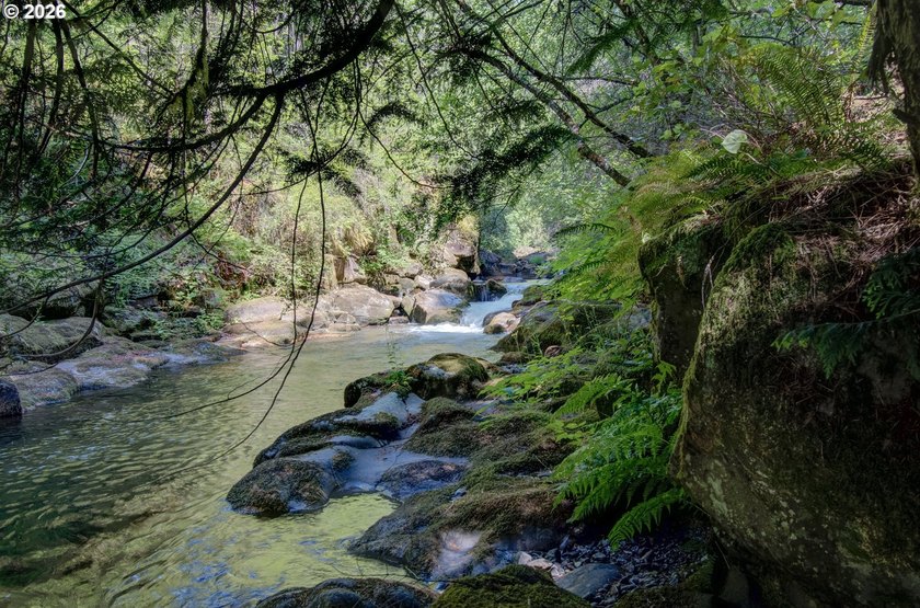 A RIVER RUNS THROUGH IT. Who needs a pool when you have a river - photo 29