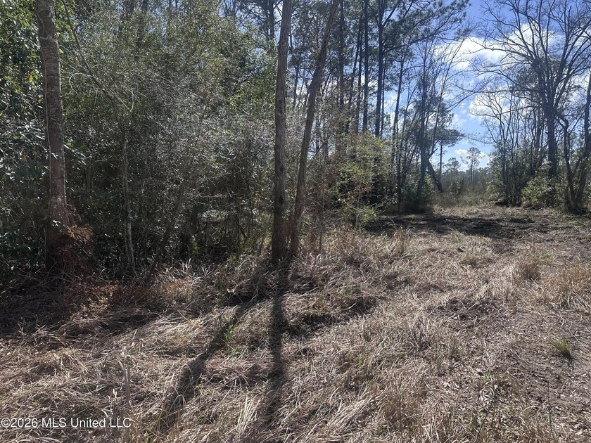 A little over four acres with plenty of road frontage, quick - photo 2