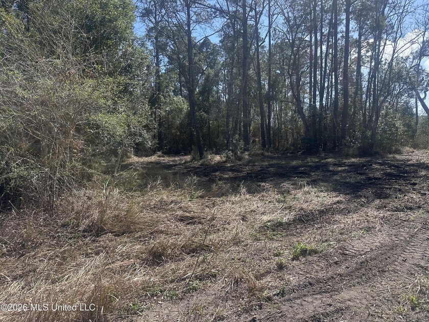 A little over four acres with plenty of road frontage, quick - photo 3