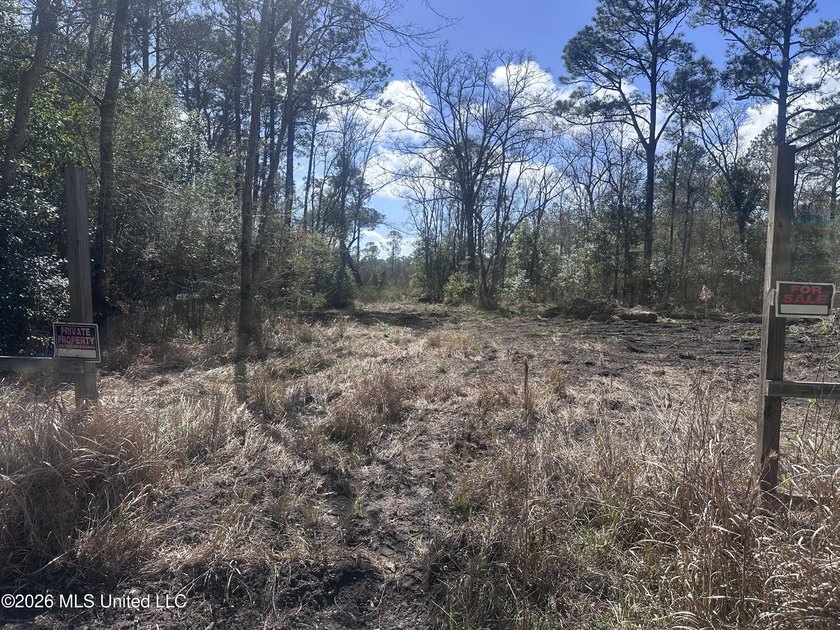 A little over four acres with plenty of road frontage, quick - photo 5