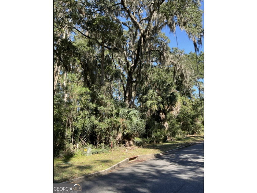 Come build your low country dream home under the Oaks of - photo 2