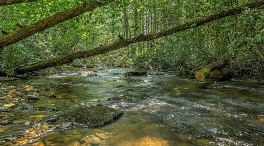 Water's Edge is the ideal blend of serene mountain escape and - photo 22