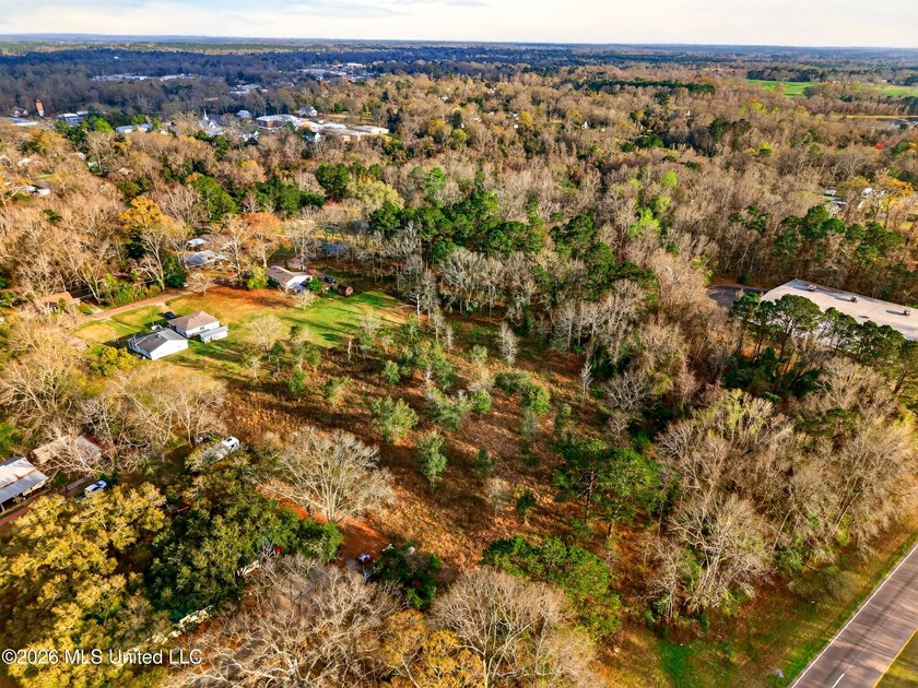 Prime Commercial or Residential Opportunity in Poplarville! This - photo 2