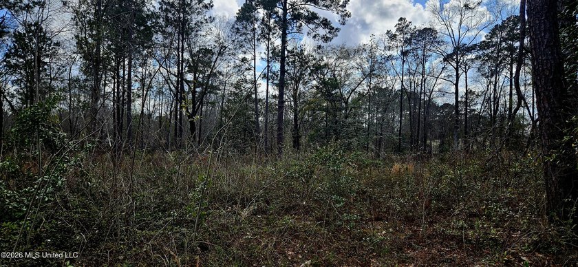 Prime Commercial or Residential Opportunity in Poplarville! This - photo 8