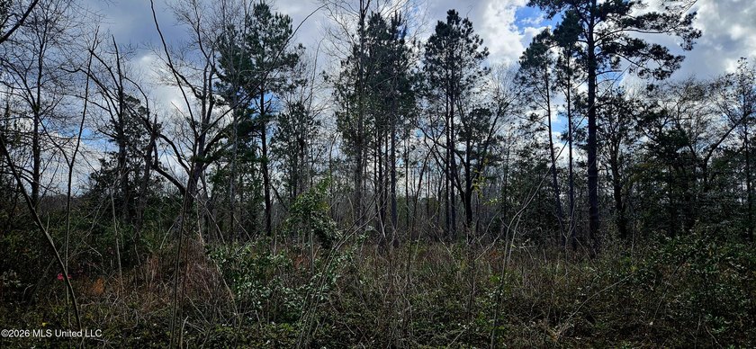 Prime Commercial or Residential Opportunity in Poplarville! This - photo 9