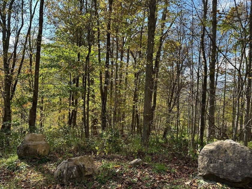 Located in Snowshoe's Hawthorne Valley neighborhood, this 1-acre - photo 2