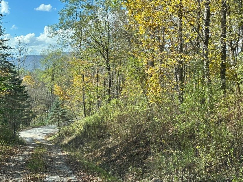 Located in Snowshoe's Hawthorne Valley neighborhood, this 1-acre - photo 4