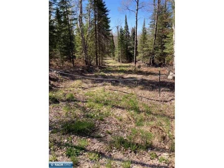 Looking for an "Up North" getaway?  Check out this 8 acre SOLD - photo 3