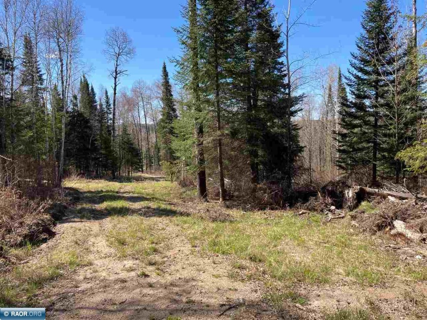Looking for an "Up North" getaway?  Check out this 8 acre SOLD - photo 6