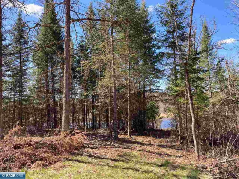 Looking for an "Up North" getaway?  Check out this 8 acre SOLD - photo 8