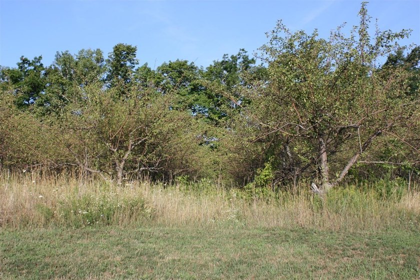 New homesites at The Orchards Village! Pond, hiking trails, lots - photo 2