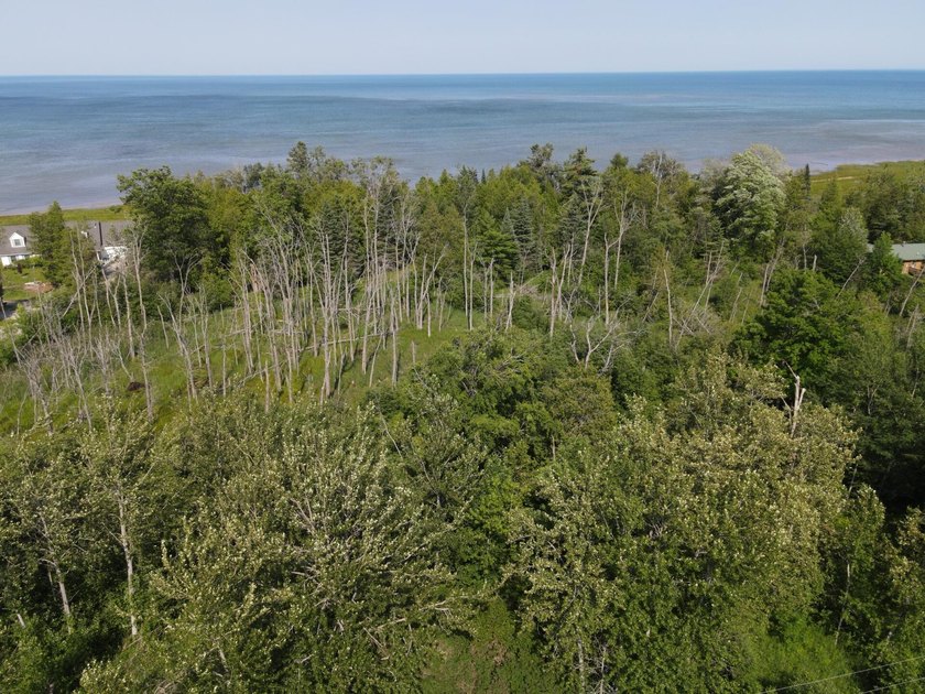 Discover the perfect setting for your dream home with this rare - photo 10