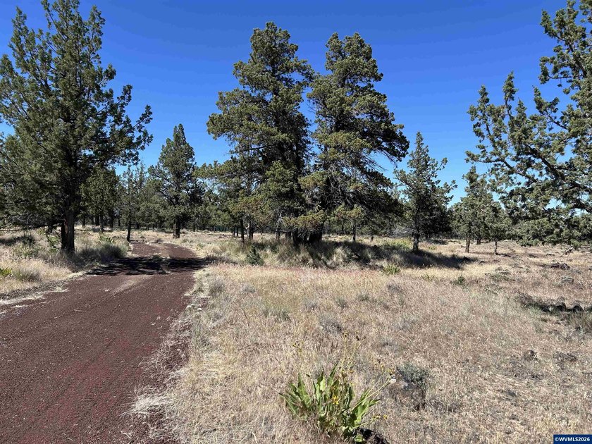 Highly coveted buildable lot inside 3 Rivers gated community - photo 3