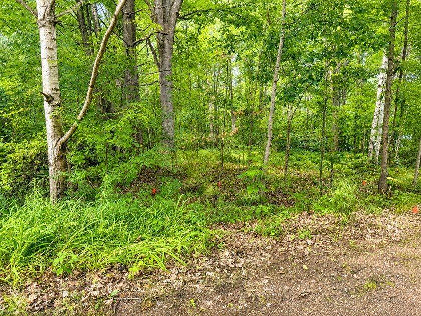 Nestled among the trees in the heart of Houghton Lake, this - photo 4