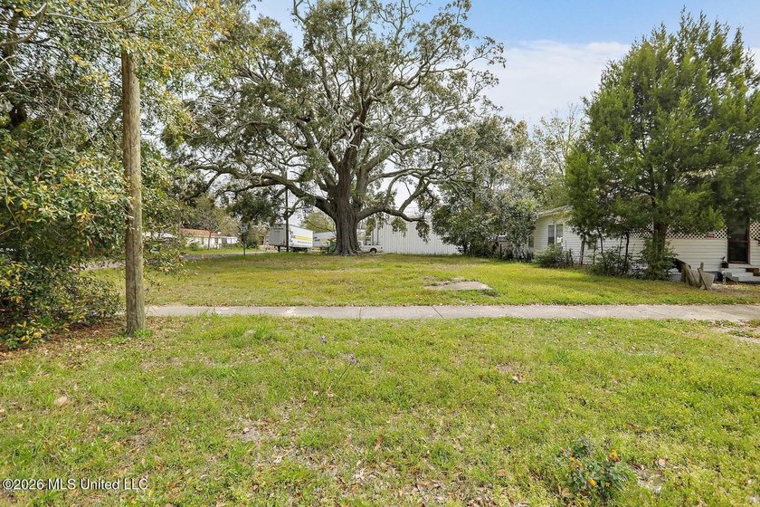 Corner lot located near Downtown Gulfport. Perfect location for - photo 7