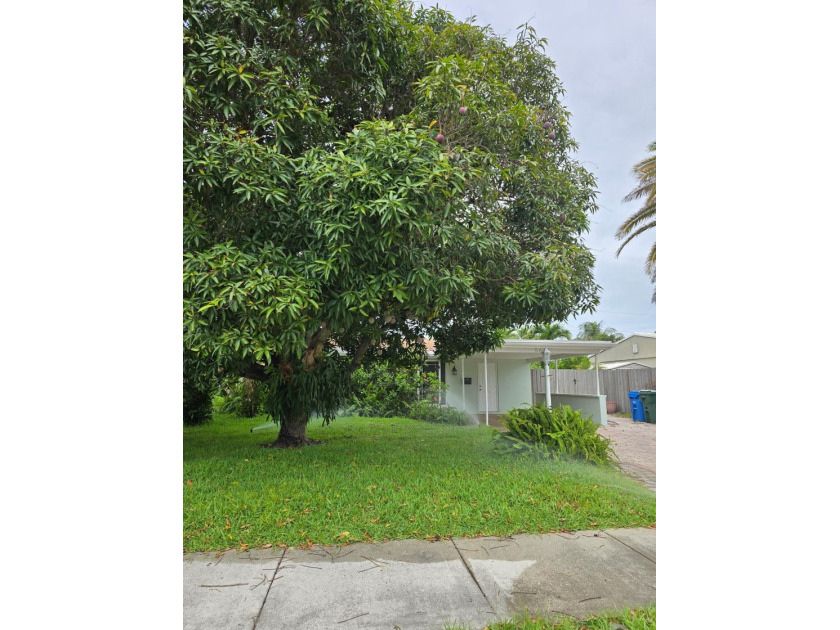This Oakland Park home reflects true pride of ownership at every - photo 7