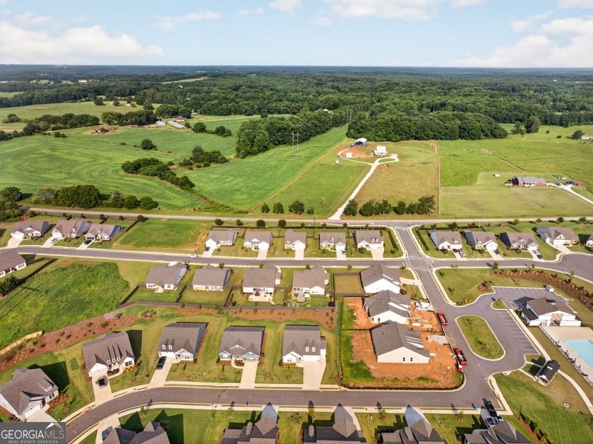 Luxury Living in a Vibrant 55+ Community Experience the perfect - photo 45