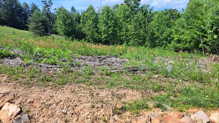 UNRESTRICTED 31+ acres with direct State Road access. Property - photo 12