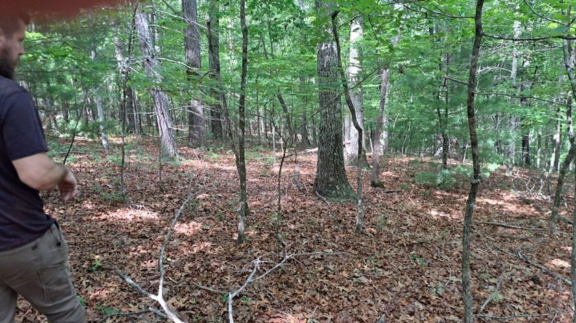 UNRESTRICTED 31+ acres with direct State Road access. Property - photo 14