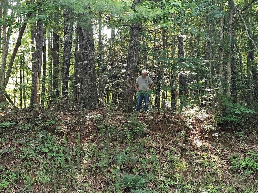 UNRESTRICTED 31+ acres with direct State Road access. Property - photo 16