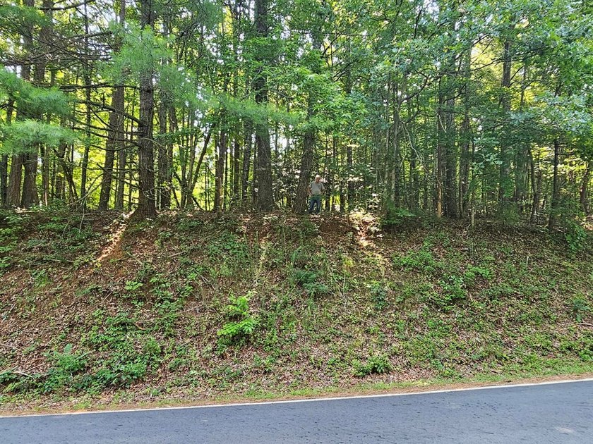 UNRESTRICTED 31+ acres with direct State Road access. Property - photo 17