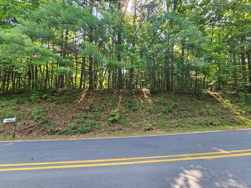 UNRESTRICTED 31+ acres with direct State Road access. Property - photo 18