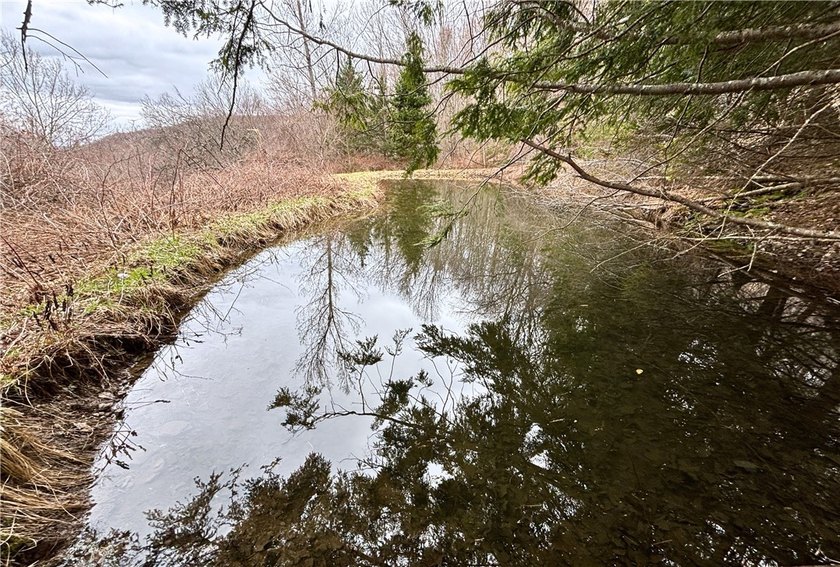 In the heart of the Catskills, this private mountain retreat - photo 19