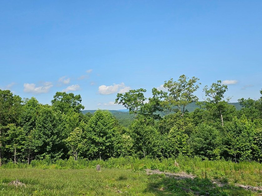 UNRESTRICTED 31+ acres with direct State Road access. Property - photo 19