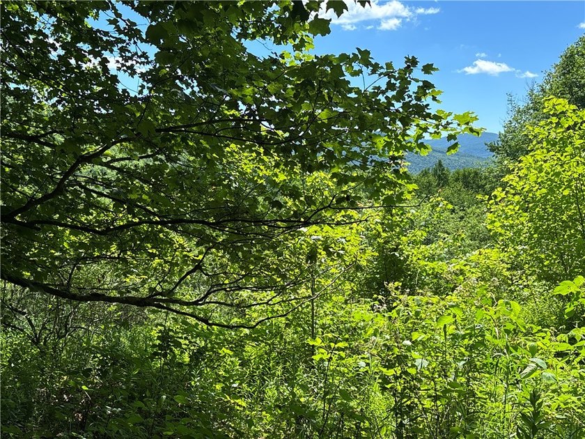 In the heart of the Catskills, this private mountain retreat - photo 27