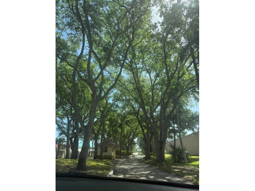 Huge Price Reduction. Seller-Financing available. Move-in ready - photo 34
