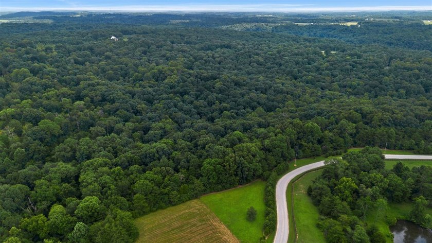 Rare opportunity near Lake Malone! Discover 36 acres of amazing - photo 13