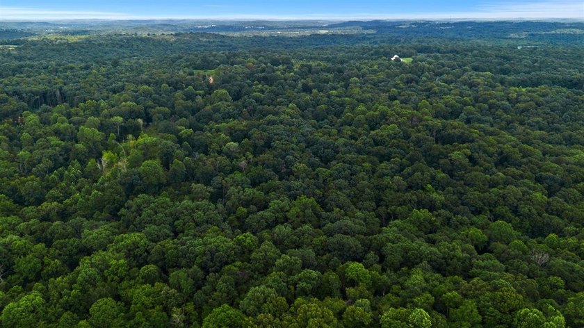 Rare opportunity near Lake Malone! Discover 36 acres of amazing - photo 14