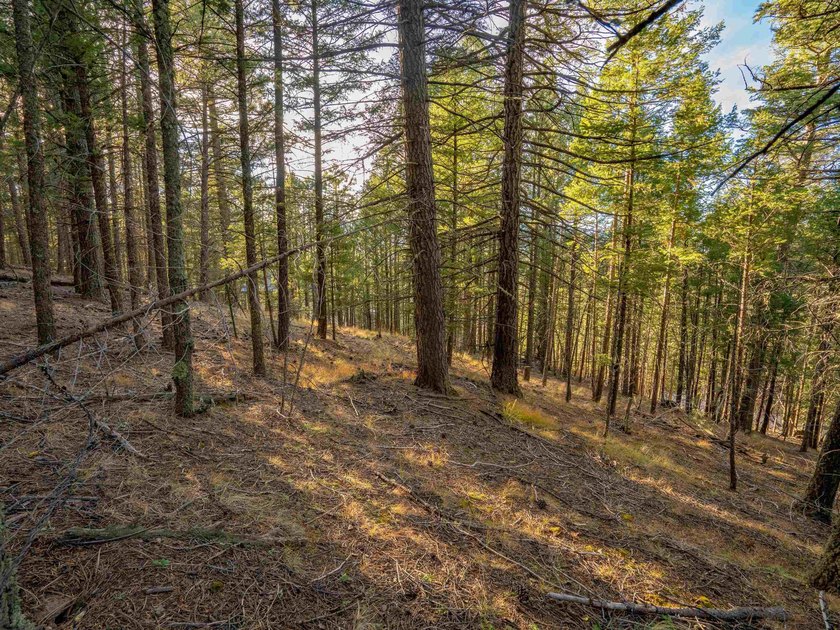 Prime Location - Just Steps from the Slopes! This is the closest - photo 20