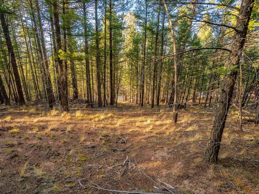 Prime Location - Just Steps from the Slopes! This is the closest - photo 21