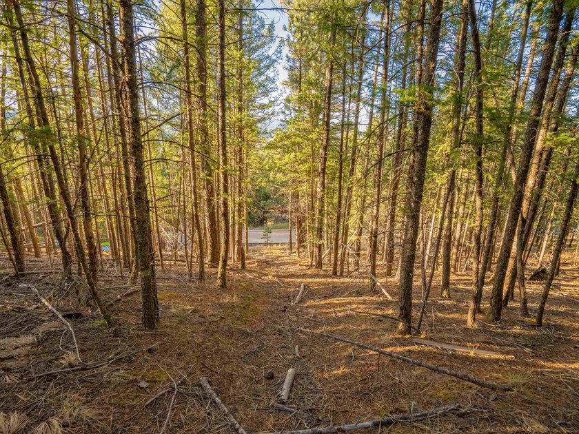 Prime Location - Just Steps from the Slopes! This is the closest - photo 26