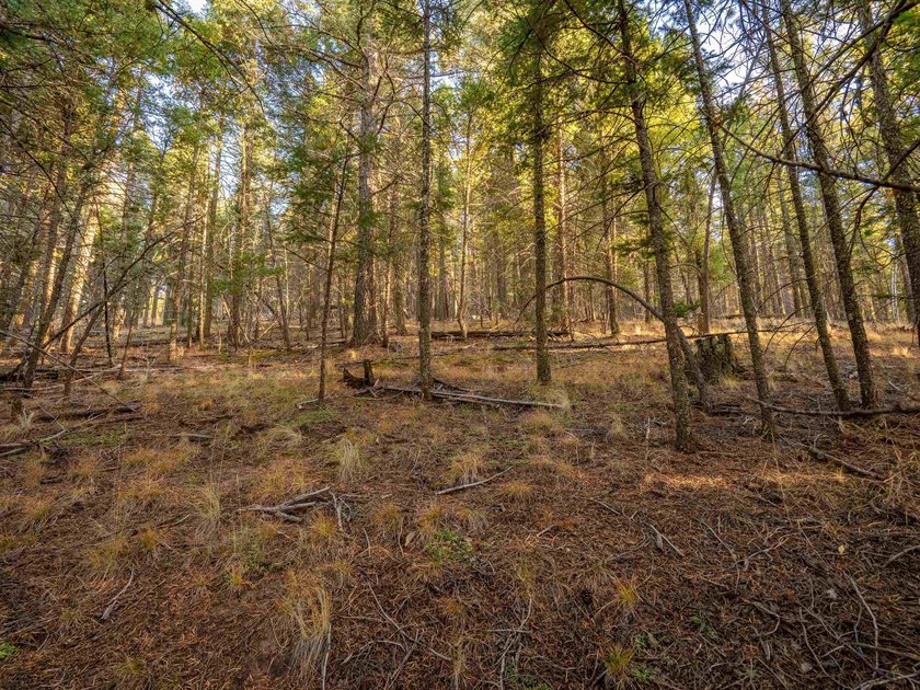 Prime Location - Just Steps from the Slopes! This is the closest - photo 31