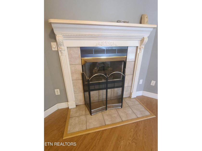Charming 3BR, 2BA home on 2 lots located in Lake Tansi - photo 5