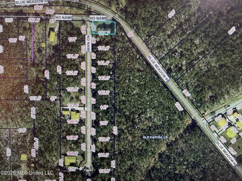 Great gated community within minutes by golf cart or car to - photo 5