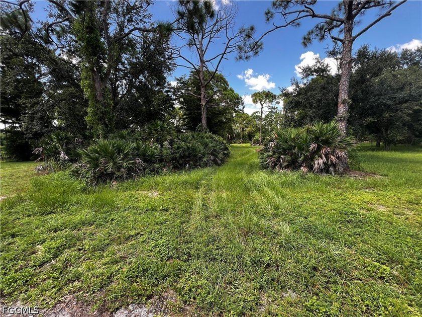 Stunning 2.72 acre parcel in the Glenn Meadow zoned AG. This - photo 11