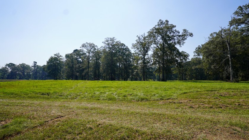 Rocky Creek Getaway - Recreational Land for Sale in Jones County - photo 21