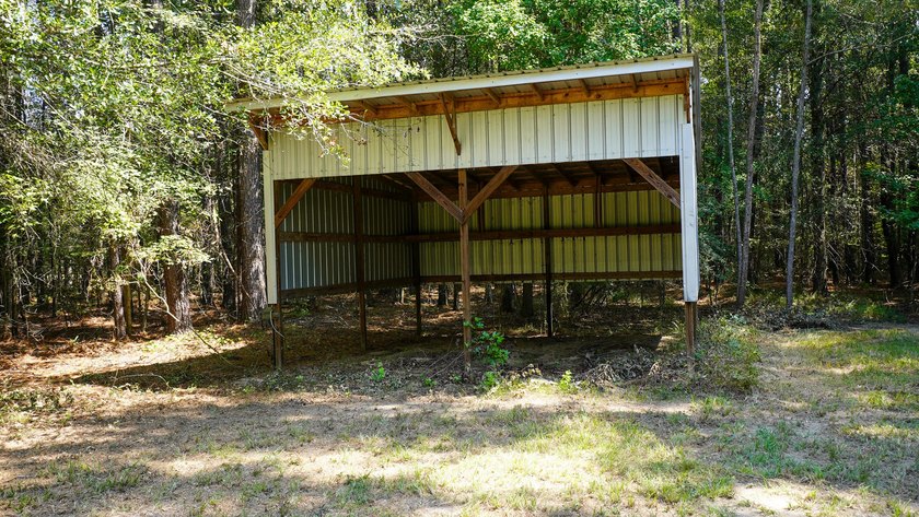 Rocky Creek Getaway - Recreational Land for Sale in Jones County - photo 32
