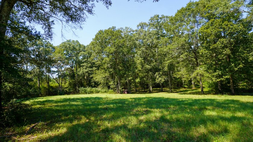 Rocky Creek Getaway - Recreational Land for Sale in Jones County - photo 39
