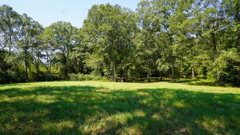 Rocky Creek Getaway - Recreational Land for Sale in Jones County - photo 40