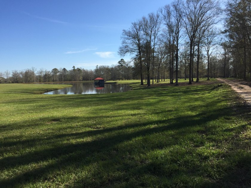 Rocky Creek Getaway - Recreational Land for Sale in Jones County - photo 43