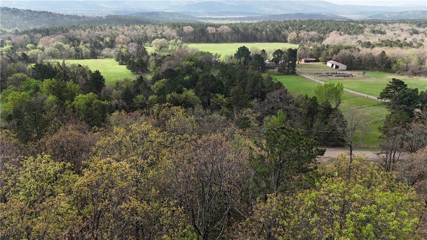 40+/- Hunting Property close to Blue Mountain Lake Situated one - photo 2